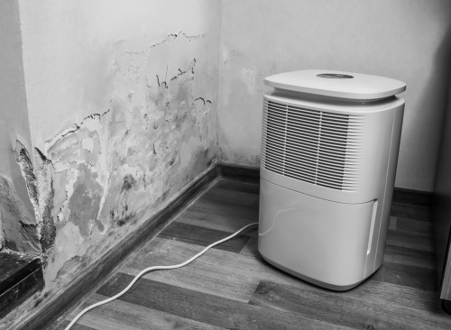 will-a-dehumidifier-get-rid-of-mold-in-your-home