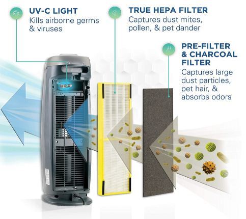 air purifier odor eliminator 